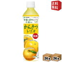 【送料無料】伊藤園 ニッポンエール 国産かんきつトリオ 400gペットボトル 48本(24本×2ケース) 和歌山県産温州みかん 愛媛県産河内晩柑 和歌山県産八朔 JA全農共同開発商品 ※北海道800円・東北400円の別途送料加算 itoen2505