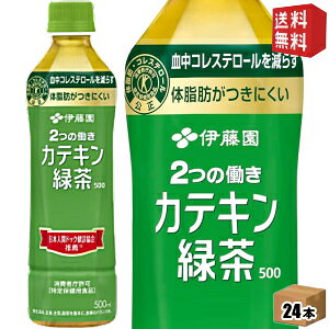 【送料無料】伊藤園 2つの働き カテキン緑茶 500mlペットボトル 24本入 二つの働き 特保 トクホ 特定保健用食品 お茶 ※北海道800円・東北400円の別途送料加算