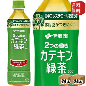【送料無料】伊藤園 2つの働き カテキン緑茶 500mlペットボトル 48本(24本×2ケース) 二つの働き 特保 トクホ 特定保健用食品 お茶 ※北海道800円・東北400円の別途送料加算 drink-cvs-10013904 ドリンクコンビニ楽天市場店 パッケージ画像