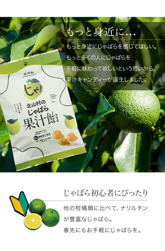 3009121-os オーサワの有機小豆焙煎粉(ヤンノー) 100g【オーサワジャパン】【1〜4個はメール便300円】【お取り寄せ】【数量限定】