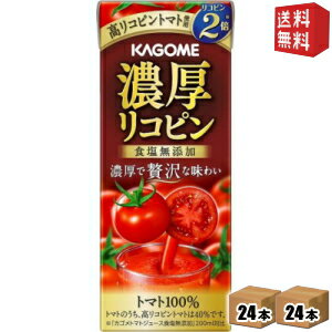 【送料無料】カゴメ 濃厚リコピン 195ml紙パック 48本(24本×2ケース) (野菜ジュース トマトジュース トマト100％ 食塩無添加) ※北海道800円・東北400円の別途送料加算 [39ショップ]