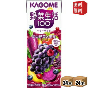 【送料無料】 カゴメ 野菜生活100 ベリーサラダ 200ml紙パック 48本 (24本×2ケース) [野菜ジュース 紫の野菜] ※北海道800円・東北400円の別途送料加算 [39ショップ]のサムネイル