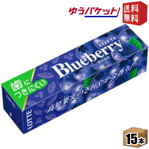 ゆうパケット送料無料 ロッテ 9枚 歯につきにくい ブルーベリーガム 15個入 [39ショップ]