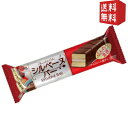 エントリーで全品ポイント5倍★【送料無料】 ブルボン シルベーヌバー 9袋入 ※北海道800円・東北400円の別途送料加算