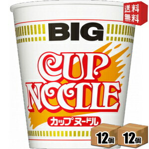 【送料無料】日清 101gカップヌードル BIG ビッグ 24食(12食×2ケース)※北海道800円 東北400円の別途送料加算 39ショップ