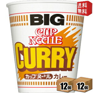 【送料無料】日清 120gカップヌードル カレー BIG ビッグ 24食(12食×2ケース)※北海道800円・東北400円の別途送料加算 [39ショップ]