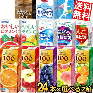 期間限定特価【送料無料】 エルビー紙パック飲料 選べる2ケース 計48本セット (果汁100%ジュース C1000 スポーツドリンク カフェオレ お茶 緑茶) ※北海道800円・東北400円の別途送料加算