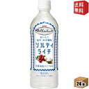 【送料無料】 キリン 世界のKitchenから ソルティ ライチ【手売り用】 500mlペットボトル 24本入 ソルティライチ 熱中症対策 ※北海道800円 東北400円の別途送料加算 39ショップ