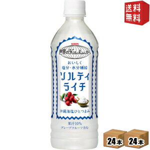 【送料無料】 キリン 世界のKitchenから ソルティ・ライチ【手売り用】 500mlペットボトル 48本(24本×2ケース) [ソルティライチ 熱中症対策] ※北海道800円・東北400円の別途送料加算 [39ショップ]