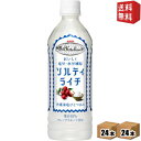 【送料無料】 キリン 世界のKitchenから ソルティ ライチ【手売り用】 500mlペットボトル 48本(24本×2ケース) ソルティライチ 熱中症対策 ※北海道800円 東北400円の別途送料加算 39ショップ