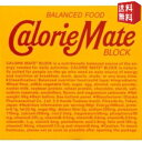【送料無料】大塚製薬 4本入カロリーメイト ブロック チョコレート味 10箱入