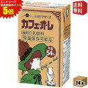 エントリーでポイント5倍★【送料無料】らくのうマザーズ カフェ・オ・レ 250ml紙パック 24本入 [カフェオレ] ※北海道800円・東北400円..