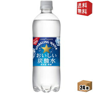 【送料無料】ポッカサッポロ おいしい炭酸水 600mlペットボトル 24本入 ※北海道800円・東北400円の別途送料加算 [39ショップ]