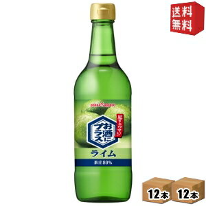 【送料無料】ポッカサッポロ お酒