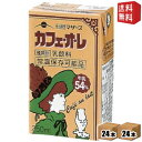 【送料無料】らくのうマザーズ カフェ・オ・レ 250ml紙パック 48本(24本×2ケース) カフェオレ ※北海道800円・東北400円の別途送料加算 ..