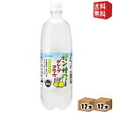 1Lサイズ サンガリア サンサワー グレープフルーツ 1000mlペットボトル 24本 (12本×2ケース) ※北海道800円・東北400円の別途送料加算 