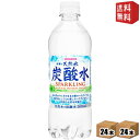 送料無料 48本 24本×2ケース ※北海道800円・東北400円の別途送料加算 サンガリア伊賀の天然水