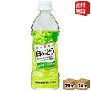 【送料無料】サンガリア すっきりと白ぶどう 500mlペットボトル 48本 24本 2ケース ※北海道800円・東北400円の別途送料加算 [39ショップ]