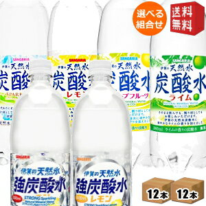 【送料無料】サンガリア 伊賀の天然水 炭酸水 (強炭酸水 強炭酸水レモン ノーマル レモン グレープフルーツ ライム) 1Lペットボトル 選べる24本 (12本×2ケース) ※北海道800円・東北400円の別途送料加算 [39ショップ]