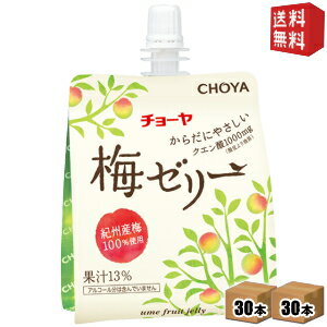 【送料無料】チョーヤ CHOYA 梅ゼリー 180gパウチ 60本(30本×2ケース) ウメゼリー 紀州産南高梅使用 ※北海道800円・東北400円の別途送料加算 [39ショップ]