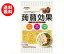 【送料無料】昭和産業 (SHOWA) 蒟蒻効果 マカロニ 120g×12袋入 ※北海道・沖縄・離島は別途送料が必要。
