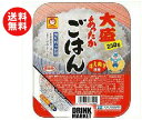 送料無料 【2ケースセット】東洋水産 あったかごはん 大盛 250g×20(10×2)個入×（2ケース） ※北海道・沖縄・離島は別途送料が必要。