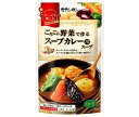 モランボン ごろごろ野菜で作る スープカレー用スープ 750g×10袋入×(2ケース)| 送料無料 調味料 カレー やさい 中辛 ストレート