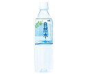 サーフビバレッジ 自然水 500mlペットボトル×24本入×(2ケース)| 送料無料 ミネラルウォーター 水 天然水 ペットボトル