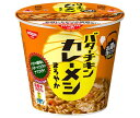 日清食品 日清 バターチキン カレーメシ まろやか 100g×6個入| 送料無料 一般食品 インスタント食品 カレー ライス