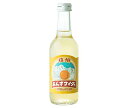 友桝飲料 信州杏サイダー 245ml瓶×24本入×(2ケース)｜ 送料無料 サイダー 杏 ソーダ 炭酸 スパークリング あんず