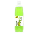 博水社 ハイサワー 青リンゴ 1000mlペットボトル×15本入×(2ケース)| 送料無料 炭酸 果汁 りんご リンゴ お酒 割り材