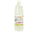 博水社 ダイエットハイサワー レモン 1000mlペットボトル×15本入｜ 送料無料 炭酸飲料 割り材 PET 果汁 1l 1L Diet