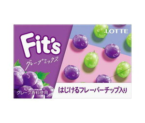 ロッテ Fit’s グレープミックス 12枚×10個入｜ 送料無料 お菓子 ガム フィッツ ぶどう 葡萄 ブドウ