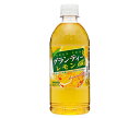 サンガリア グランティー レモン 500mlペットボトル×24本入×(2ケース)| 送料無料 紅茶 レモンティー ウバ茶葉 レモン 茶