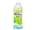 サンガリア つぶつぶナタデココ入り白ぶどう 500mlペットボトル×24本入｜ 送料無料 ぶどう ペットボトル ブドウ 葡萄