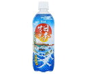 チェリオ 日本のサイダー 500mlペットボトル×24本入×(2ケース)| 送料無料 炭酸飲料 サイダー PET