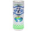 創健社 丹沢サイダー 250ml缶×30本入| 送料無料 炭酸飲料 サイダー 缶