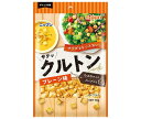 ニップン クルトン プレーン味 30g×20(10×2)袋入×(2ケース)| 送料無料 一般食品 サラダ トッピング