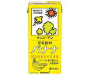 キッコーマン 豆乳飲料 バナナ 1000ml紙パック×12(6×2)本入×(2ケース)｜ 送料無料 豆乳 キッコーマン バナナ 1l 紙パック