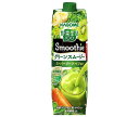 カゴメ 野菜生活100 Smoothie(スムージー) グリーンスムージー 1000g紙パック×6本入| 送料無料 カゴメ 野菜ジュース スムージー 野菜 野菜...