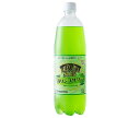 友桝飲料 青りんごサワー 1Lペットボトル×15本入| 送料無料 サイダー ソーダ 炭酸 スパークリング 1l PET りんご