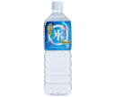 岩泉産業開発 龍泉洞の水 1Lペットボトル×12本入| 送料無料 水 ミネラルウォーター PET 1000ml 1l 軟水