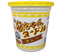 徳島製粉 金ちゃんヌードルカレー 83g×12個入| 送料無料 インスタント食品 カップ麺 即席めん ラーメン