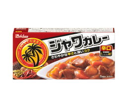 ハウス食品 ジャワカレー 辛口 104g×10個入×(2ケース)｜ 送料無料 カレー カレールー カレー 辛口 調味料