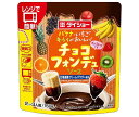 ダイショー チョコフォンデュソース 150g×20袋入｜ 送料無料 一般食品 調味料 手作り チョコレート