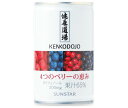 サンスター 健康道場 4つのベリーの恵み 160g缶×30本入×(2ケース)｜ 送料無料 果実飲料 ミックス 缶