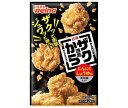 日清ウェルナ 日清 から揚げ粉 ザクから逸品 にんにくしょうゆ味 黒胡椒仕立て 100g×10袋入｜ 送料無料 から揚げ粉 からあげ粉 しょうゆ 粉 調味料