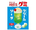 アイデアパッケージ 純喫茶グミ クリームソーダ 40g×10袋入｜ 送料無料 お菓子 グミ ソーダ