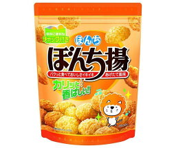 ぼんち ぼんち揚 チャック付 100g×12袋入｜ 送料無料 お菓子 おつまみ せんべい 袋