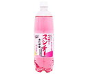博水社 ハイサワー スンチー 杏仁檸檬 1000mlペットボトル×15本入×(2ケース)| 送料無料 炭酸 サワー レモン 割り材 杏仁